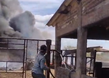 Cuatro muertos en desplome de avioneta en Pantanal, son familiares de un político