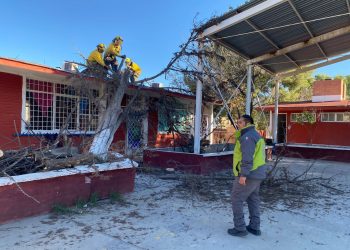 Fuertes rachas de viento provocan caída de árboles y falla de energía eléctrica en Saltillo