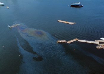 La contaminación marina aún azota a Acapulco a 80 días del golpe de Otis