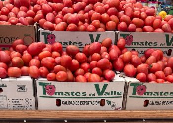 Cambios de clima provocan afectaciones en producción de alimentos, impactando en precios