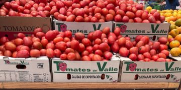 Cambios de clima provocan afectaciones en producción de alimentos, impactando en precios