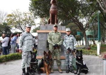 Ejército mexicano celebra cumpleaños de Arkadas, perro rescatista donado por Turquía