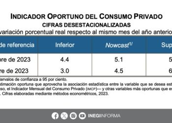 INEGI da a conocer el Indicador Oportuno del Consumo Privado