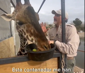 Benito llegó a su nuevo hogar, conoce aquí la historia