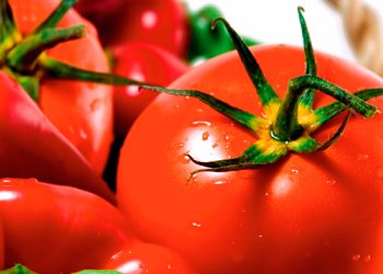 “En frutas y hortalizas vemos una alta demanda y especulación”: Anaya