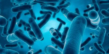 Un probiótico natural es eficaz para reducir síntomas del autismo, según una investigación