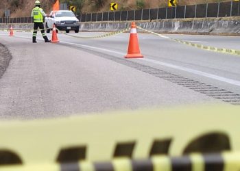Localizan a 4 masculinos asesinados sobre la Autopista del Sol