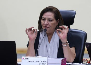 Ninguna parte del proceso electoral está en riesgo; Guadalupe Taddei