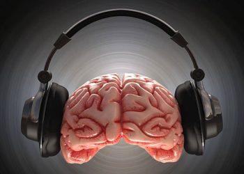 Así funcional el cerebro humano al estimulo musical