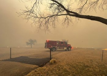 Texas: Más de 200 mil hectáreas son devastadas por incendios