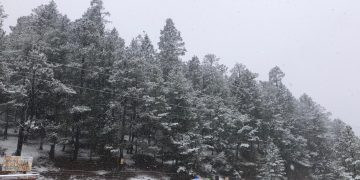 Se pinta de blanco Cañón Los Oyameles de Arteaga, Coahuila por Frente Frío 35