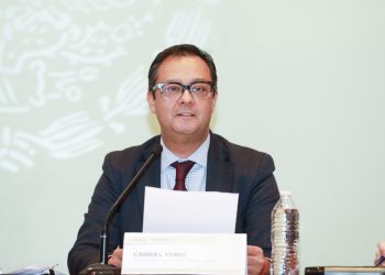 “El estudio de la OCDE está balanceado”: Yorio