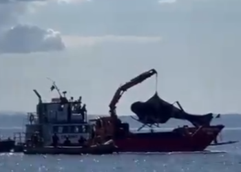 Extraen helicóptero colapsado del expresidente Piñera