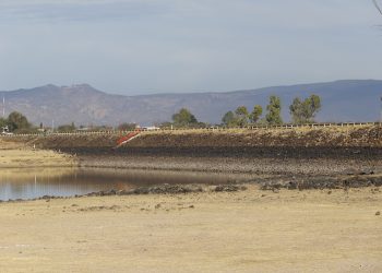Siembra de miles de productores en riesgo por escasez de agua en Durango