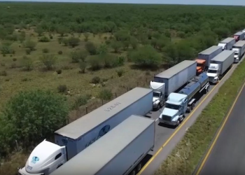 Cae sistema de aduanas; esto dice CoMeCarne