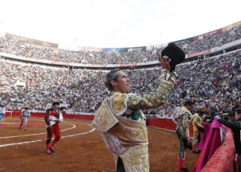 Corridas de Toros, ¿Fiesta o sufrimiento?