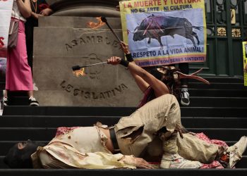 Activistas exigen que la capital prohíba las corridas de toros