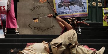 Activistas exigen que la capital prohíba las corridas de toros