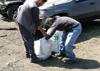 Recolectan plástico y vidrio dejado por paseantes en bosques del Iztaccíhuatl