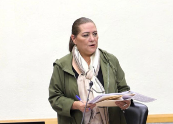 Trabaja INE con autoridades federales y estatales para tener elecciones tranquilas: Taddei