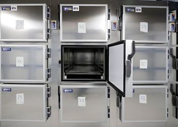 “Hasta agosto de 2020, se reveló que habia más de 52 mil cuerpos sin identificar”: Efraín Tzuc