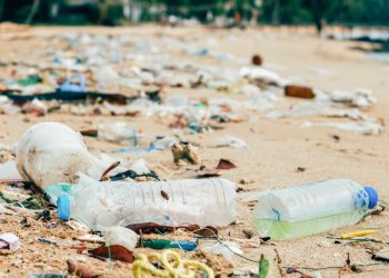 Greenpeace advierte sobre la importancia de actuar contra la crisis de los plásticos