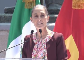 Tomar antidepresivos en el embarazo afecta al desarrollo cerebral del feto