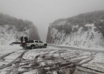Rescatan cinco familias varadas por nevada en carretera federal de Sonora