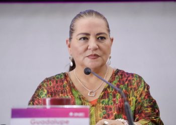 El INE no le quedará mal a México, se votará como nunca: Taddei