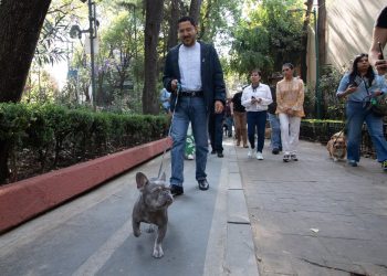 Celebran con “Caminata Perruna” la ley de Protección Animal