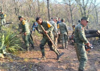 Combate Ejército incendio forestal en la Sierra Madre de Tamaulipas