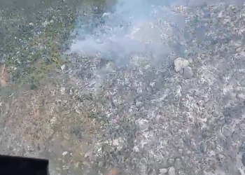 Se queman 6 hectáreas de selva baja caducifolia en Acapulco