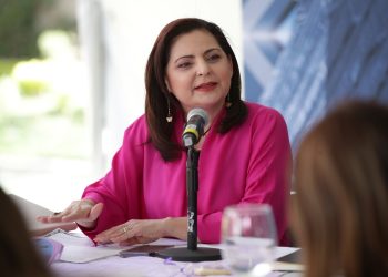 Todas las sentencias tendrán vinculación jurídica para la calificación presidencial: Soto