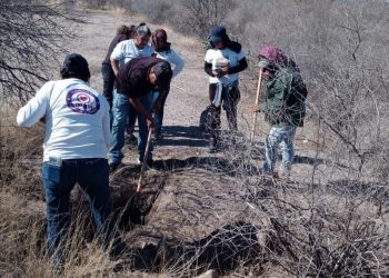 Agrupación de búsqueda encuentra restos de 3 personas en el sur de Sonora