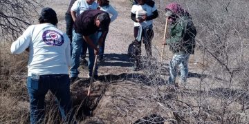 Agrupación de búsqueda encuentra restos de 3 personas en el sur de Sonora