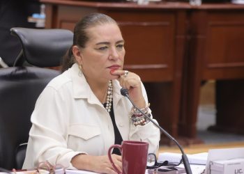 Aumenta a 73 el número de candidatos con amenazas: Guadalupe Taddei