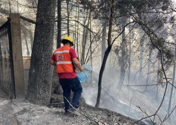 Azotan incendios forestales a 5 municipios de Hidalgo