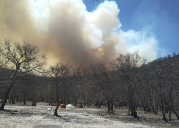 Guanajuato: 330 hectáreas afectadas por incendios forestales en Sierra de Santa Rosa