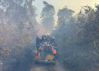 En Hidalgo no han podido controlar el incendio forestal que se abate en Nicolás Flores