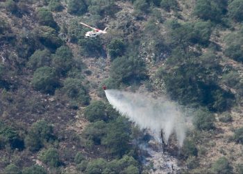 Casi mil hectáreas arrasadas por el fuego en Nicolás Flores, Hidalgo