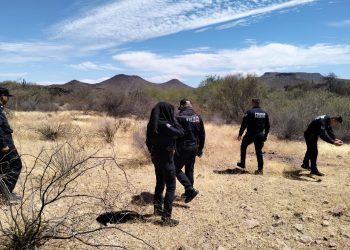 Colectivo de búsqueda reporta hallazgo de restos de dos personas en Sonora