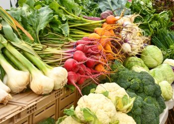 Asegura la ONU que más de 1,050 millones de toneladas de alimentos fueron desperdiciadas en 2022