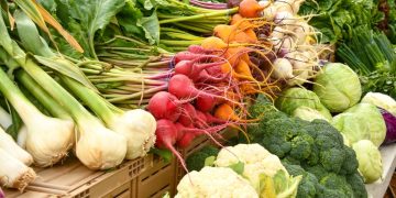 Asegura la ONU que más de 1,050 millones de toneladas de alimentos fueron desperdiciadas en 2022