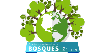 Día Internacional de los Bosques