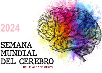 Esta es la Semana Mundial del Cerebro