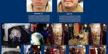 FGJ Y SSC recatan perros, tortugas y un cuyo que eran maltratados, hay dos detenidos por maltrato animal