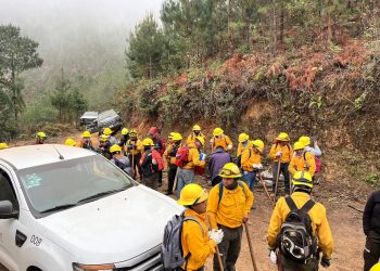 Se fincará responsabilidad a quien provoque incendios forestales en Edomex