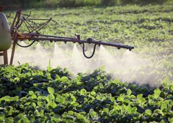 “Decisión del gobierno sobre el glifosato abre camino para hacer más productivo al campo”: UMFFAAC