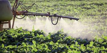 “Decisión del gobierno sobre el glifosato abre camino para hacer más productivo al campo”: UMFFAAC