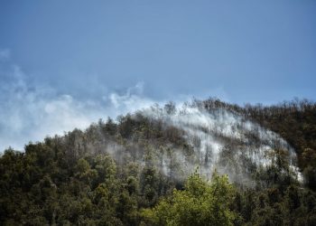 Extinguen incendio forestal en la Sierra de Santa Rosa